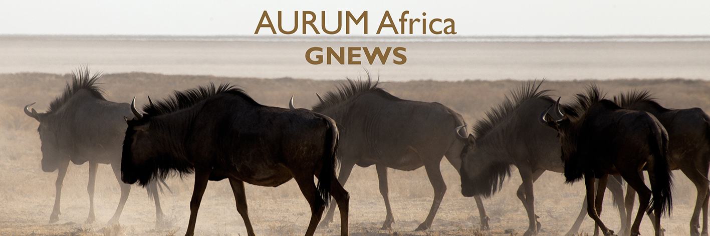 AURUM Africa News